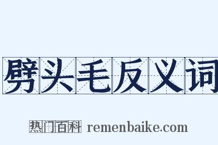 劈头毛反义词是什么意思的图片